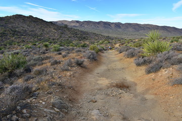 Lost horse Valley at the Joshua Tree National park.
