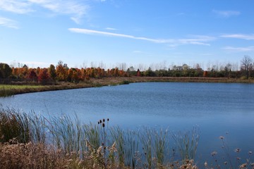 Fototapeta premium The lake in the park on a bright and sunny autumn day.