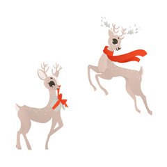 vector flat cartoon cute female christmas reindeer in red scarf dancing, another holding present box in mouth set. Winter holiday deer animal symbol. Isolated illustration on a white background.