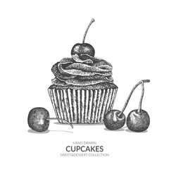 Tasty cherry cupcake. Isolated sweet pastry decorated with fruits. Birthday or Ice cream cupcake. Vintage hand drawn black and white illustration. Sweet and dessert collection