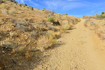 Lost horse Valley at the Joshua Tree National park.

