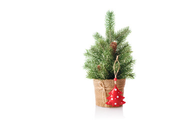 Christmas tree with red decoration isolated on a white