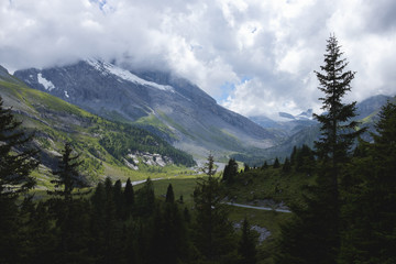 Fototapeta na wymiar Panorama nahe Kandersteg 2