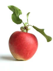 Foto op Plexiglas appel met steel en blad © twanwiermans
