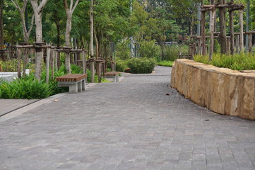 Pathway between tree with bench of garden in city for relax time.