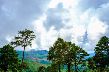 Obraz premium high mountains peaks range clouds in fog scenery landscape national park view outdoor at Doi Ang Khang, Chiang Mai Province, Thailand