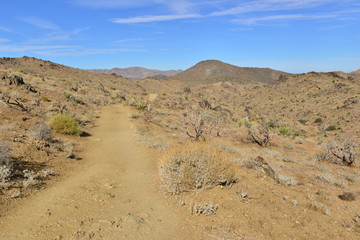 Lost horse Valley at the Joshua Tree National park.
