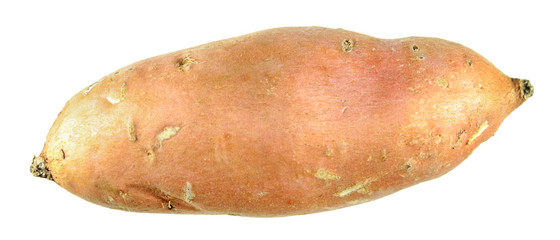 Sweet potato root isolated on white background