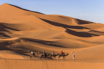 Caravane dans le desert
