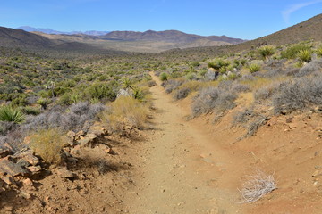 Lost horse Valley at the Joshua Tree National park.
