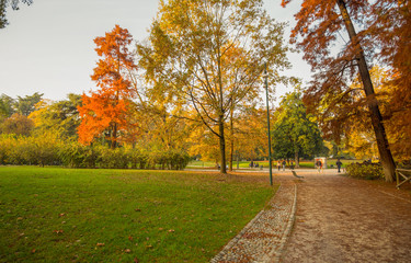 Fototapeta na wymiar Autumn in Sempione Park in Milan, Italy.