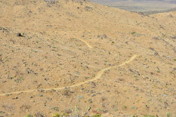 Lost horse Valley at the Joshua Tree National park.
