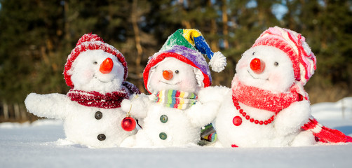 Happy snowman family