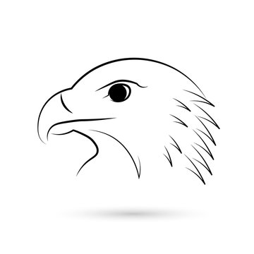 Eagle. Outline. Vector illustration.