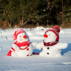 Couple of snowmen
