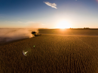 Silhouette of harvest