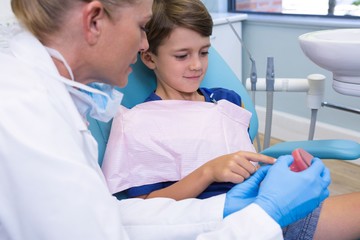 Obraz premium Dentist and boy looking at dentures