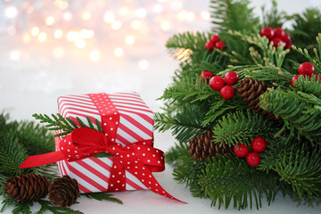 クリスマスプレゼント　フレッシュリース