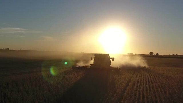 Combine harvesting a field of soybeans as sunset in midwest United States