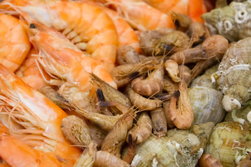 plateau de fruits de mer