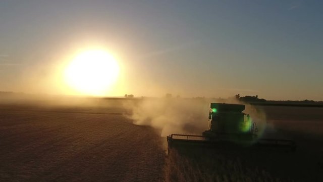 Combine harvesting a field of soybeans as sunset in midwest United States