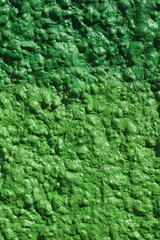 Grüne Steinmauer, Steintextur
