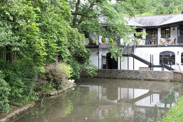 Naklejka premium Pond