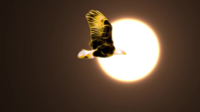 golden yellow Neon bald Eagle fly in sun light cartoon seamless loop animation on black background - new quality unique handmade dynamic joyful colorful video animal bird footage