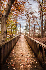 Path to Water through the woods in the fall season with falling orange and red leaves.