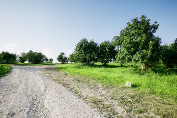 Landscape in nature of sky with cloudy and roadway through a evergreen forest. Road passing mountain. Beautiful of nature summer mountain landscape.