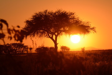 Fototapeta na wymiar Sunset in Namibia
