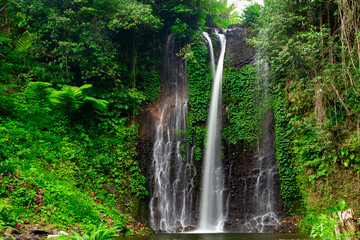 Beautiful waterfall in green forest. Nature landscape background