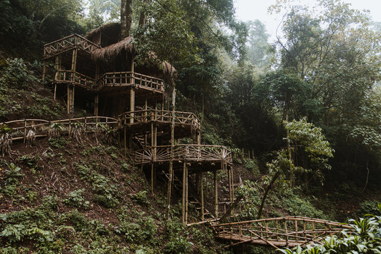 Wooden bamboo hovel house in forest. Film color toned filter