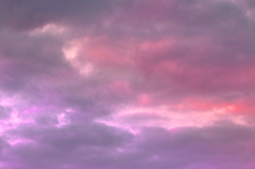 Beautiful pink, purple sky above dark forest at sunset