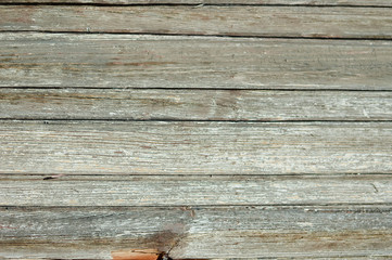 Close up on natural eco wood textured grungy abstract background