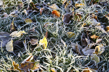 the beginning of frost in nature