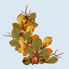 Autumn leaves of chestnuts with chestnuts