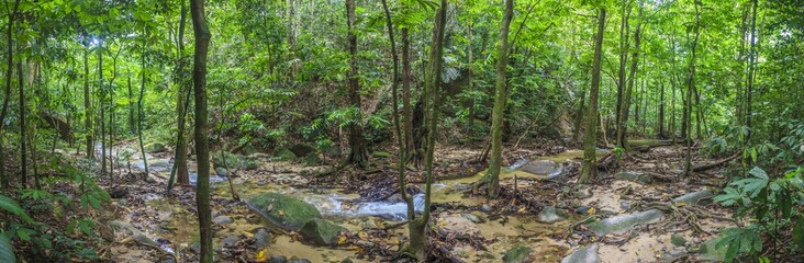 Panoramaaufnahme eines Flusslaufes im Krau Wildlife Reserve in Malaysia fotografiert tagsüber im November 2013