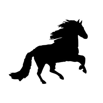 Silhouette of a black horse running,on white background,