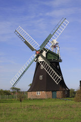 Fototapeta na wymiar Windmühle nähe Rotterdam, Niederlande, Europa