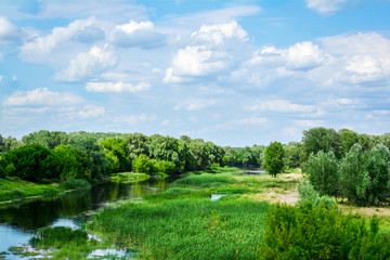 Fototapeta na wymiar Landscape - view of the river and trees, blue sky with clouds.