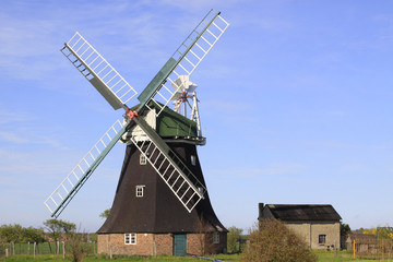 Fototapeta na wymiar Windmühle in Rotterdam, Niederlande, Europa