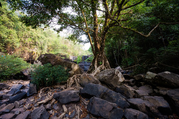Naklejka na ściany i meble Jungle waterfall on Koh Kood