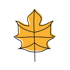 autumn leaf season natural foliage flora vector illustration