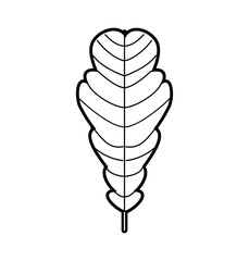 autumn leaf season natural foliage flora vector illustration