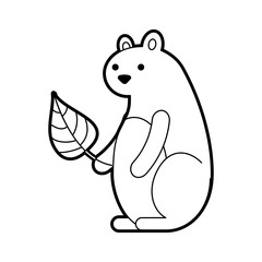autumn season squirrel leaf natural forest vector illustration