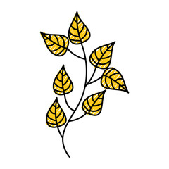 autumn tree branch leaves foliage botanical image vector illustration