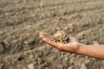 hand holding dried soil with ground prepared for agriculture