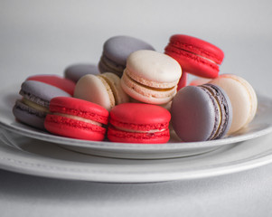 delicious macaroni lie on beautiful plates