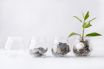 Plant growing on coins in glass jar